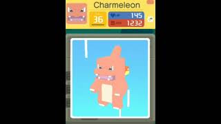 Charmeleon Evolves  Pokemon Quest [upl. by Draillih249]