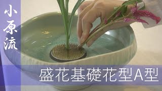 【生け花】小原流・盛花基礎花型A方【三大流派生けてみた】いけばなマスターシリーズ参考 [upl. by Odlanar]