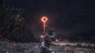 Dark Souls 3  Frayed Blade All Bosses No Damage Part 1 [upl. by Giaimo]