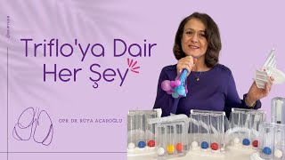 Trifloya Dair Her Şey [upl. by Rabush]