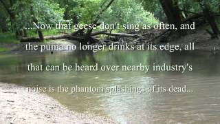 Woodlands Edge  Phantom Splashings Voices of the Sangamon River [upl. by Ahsram]