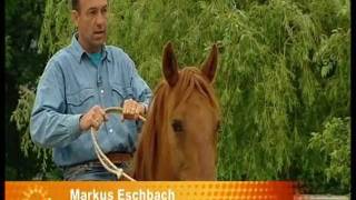 ZDF Beitrag quotFreies Reiten mit Markus Eschbach  Reiten ohne Sattel und Zaumzeugquot [upl. by Worsham]