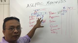 Aseptic Meningitis and CSF analysis [upl. by Noland908]