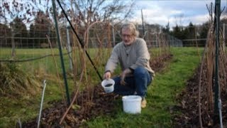 Le Potager du Paresseux  produire et utiliser des cendres [upl. by French194]