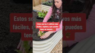 Cultivos fáciles para tener en casa y de rápido crecimiento⏱️🌱 plants cultivation agro shorts [upl. by Oir]