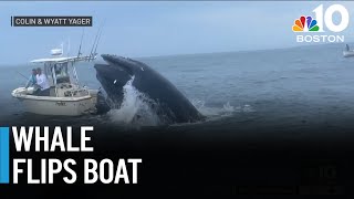 Whale slams into boat off coast of Portsmouth NH [upl. by Nairod]