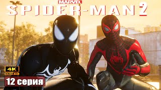 Схватка ➢ Marvels SpiderMan 2 прохождение 12 gameplay ps5 [upl. by Ada]