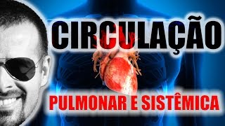 Sistema Circulatório Circulação pulmonar e circulação sistêmica esquema didático  VideoAula 004 [upl. by Mose]