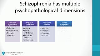 1 Schizophrenia psychopathology [upl. by Nolan801]