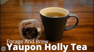 Yaupon Holly Tea  How To Forage And Brew [upl. by Osher]