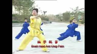 Wushu Kung Fu Long Fist Chang Quan Wushu deportivo Ji Ben Gong [upl. by Ekusoyr718]