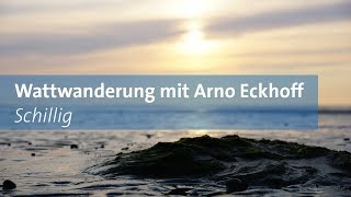 Wattwanderung Schillig Nordsee und zurück Live vom 07 08 2017 [upl. by Nodnorb]