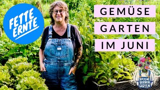 Gartenrundgang  so voll sind meine Hochbeete im Juni I der kleine Horrorgarten [upl. by Jaela]