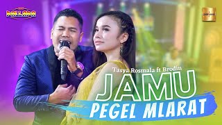 Tasya Rosmala ft Brodin New Pallapa  Jamu Pegel Mlarat Official Live Music [upl. by Nelg614]