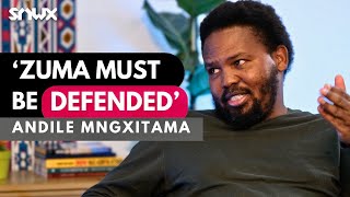 Andile Mngxitama on MK Party Julius Malema Thabo Mbeki Markus Jooste Jacob Zuma 2024 election [upl. by Eanahs364]