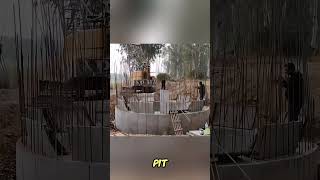 Workers Cheer During Well Construction as Concrete Sinksshortsfeed shortsviral shortsyoutube [upl. by Karlise]