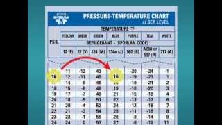 How to Use a PT Chart [upl. by Day231]