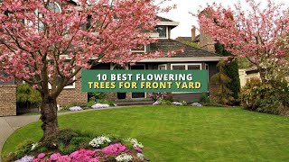 10 Best Flowering Trees for Front Yard 🌳🌸🏠 [upl. by Friedberg]