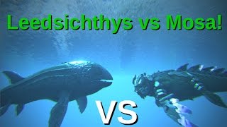 Leedsichthys VS Mosasaurus  ARK Survival Evolved [upl. by Gelhar551]