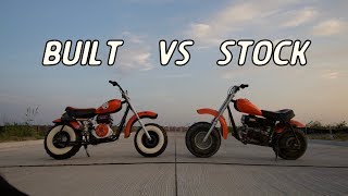 Fully Built vs Bone Stock Baja Mini Bike [upl. by Brunhild]