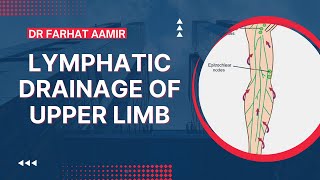 Lymphatic Drainage Of Upper Limb [upl. by Kresic]