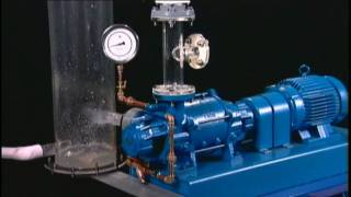 NASH Liquid Ring Vacuum Pump Reliability [upl. by Ramyaj]