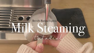 Milk steaming using full fat milk with Breville Barista Express for Latte art Steam or Froth [upl. by Novej]