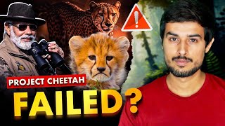 Why Modi Govt’s Project Cheetah has FAILED  Dhruv Rathee [upl. by Thornton703]