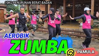 AEROBIK ZUMBA PEMULA SUPER GOBYOSSS [upl. by Hyps629]