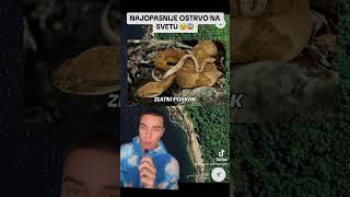 NAJOPASNIJE OSTRVO NA SVETU😱 OSTRVO ZMIJA 🐍 [upl. by Stavro56]