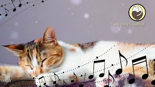 528Hz Healing Music to Calm Your Cat  Stress Relief Relaxation [upl. by Burrus]