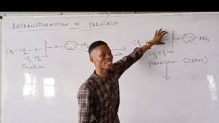 Biotransformation of Parathion [upl. by Aicilif]