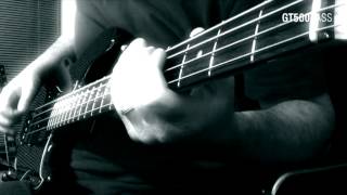 Bass Cover New Model Army  Purity [upl. by Irollam]