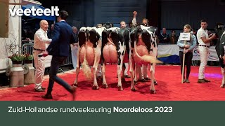 ZuidHollandse rundveekeuring Noordeloos 2023 [upl. by Cassady]