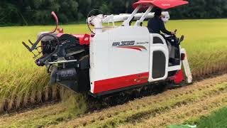 Amazing Rice Harvester in Japan [upl. by Paule]