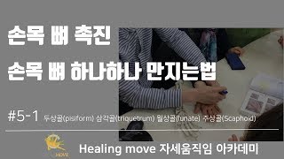 체형교정을 위한 해부학공부  기능해부학 과 촉진기법 51 손목뼈 촉진  Healing move 자세움직임 아카데미 이지환 [upl. by Oinotnaocram416]