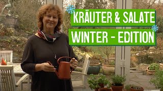 Salat und Kräuteranbau im Winter  Der Grüne Tipp [upl. by Nylannej]