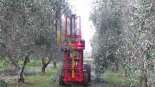 potatura meccanica da Agricola Gigante [upl. by Schwenk]