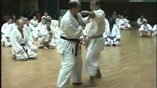 Kumite seminar by Soke Kubota 1997  Legendary Budo Masters [upl. by Radbourne]