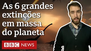 As 6 grandes extinções em massa e por que vivemos uma agora [upl. by Egoreg]