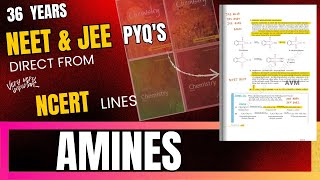 AMINES  NEET amp JEE PYQS NCERT HIGHLIGHTED [upl. by Tori]