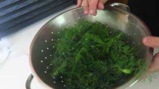 Dehydrating Dill [upl. by Atsirak]