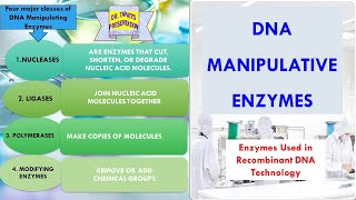 Manipulative Uses of Enzymes  In Detail  Enzymes used in Molecular Biology  Enzyme 39 [upl. by Tnomel533]