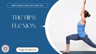 Hip Flexion  Yoga Anatomy  Online Yoga School [upl. by Avlasor]