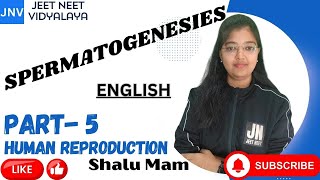 SPERMATOGENESIS PART 5HUMAN REPRODUCTION SHALU NEET TRICKS LINE BY LINE ZOOLOGY CBSE ENGLISH [upl. by Elicec]