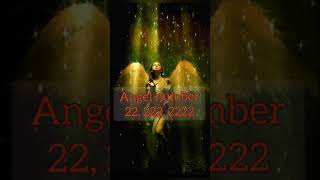 Angel number 22 222 2222 in Hindi  Master number 22  bar bar dikhayi deta hai short Numerology [upl. by Einhapets]