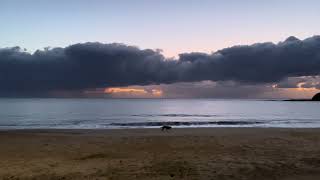 Early morning at Terrigal Sunrise [upl. by Asselam]