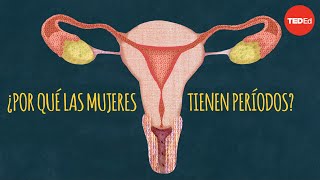 🩸La Menstruación y su Ciclo Menstrual🔄 [upl. by Larsen296]