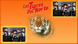 LOS TIGRES DEL NORTE Y SUS MEJORES CANCIONES NORTEÑAS DE TODOS LOS TIEMPOS [upl. by Annoeik]