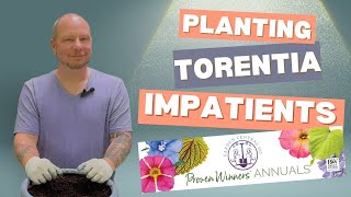 Planting Torenia Impatients and more [upl. by Samid]